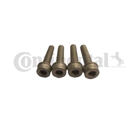 Bolt Set, crankshaft pulley